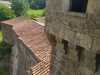 IMG-20210625-WA0049