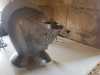 IMG-20210625-WA0096
