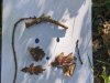 IMG_20220401_095727