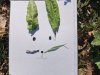 IMG_20220401_101507