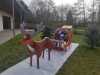 IMG-20211210-WA0012