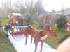 IMG-20211210-WA0016