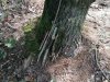 IMG_20220929_105546