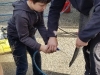 20190427_111307