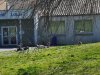 IMG-20210326-WA0003
