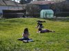IMG-20210326-WA0004