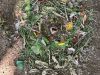 IMG-20220525-WA0016