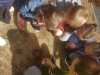 IMG-20220531-WA0030