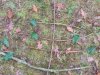IMG_20211214_100333