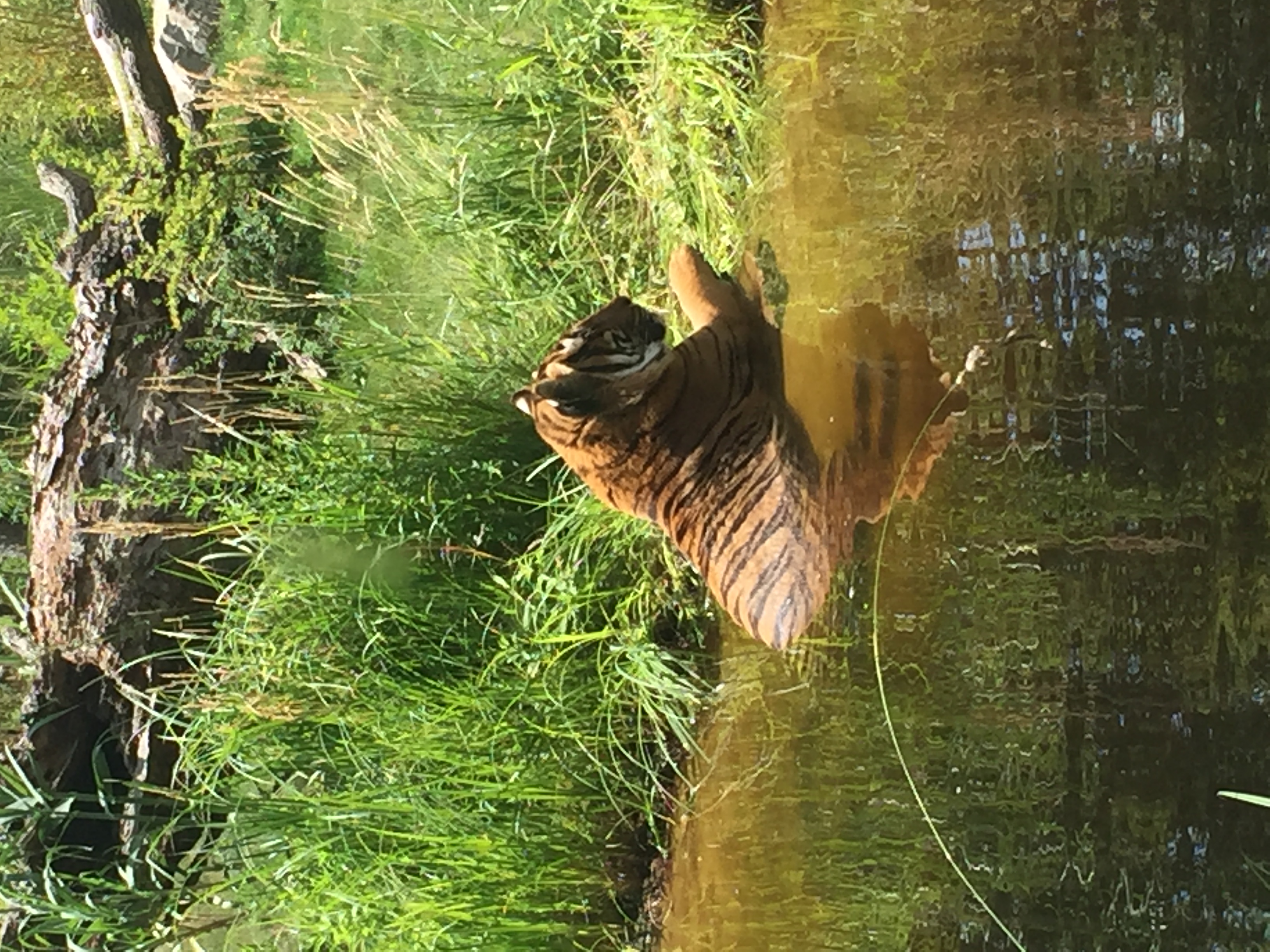 IMG_1755