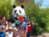 3860bf3f-eb13-4391-b582-41d11d77ea35
