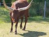 IMG_20230612_105755