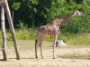 IMG_20230612_105910
