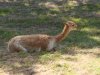 IMG_20230612_111644