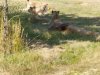 IMG_20230612_112751