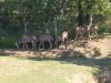 IMG_20230612_114011