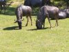 IMG_20230612_114311