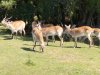IMG_20230612_114404