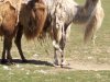 IMG_20230612_115338