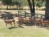 IMG_20230612_115506