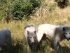 IMG_20230612_120008