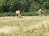 IMG_20230612_120524
