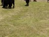 IMG_20230612_120935