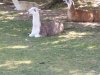 IMG_20230612_121132