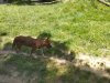IMG_20230612_150727