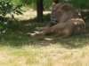 IMG_20230612_152139